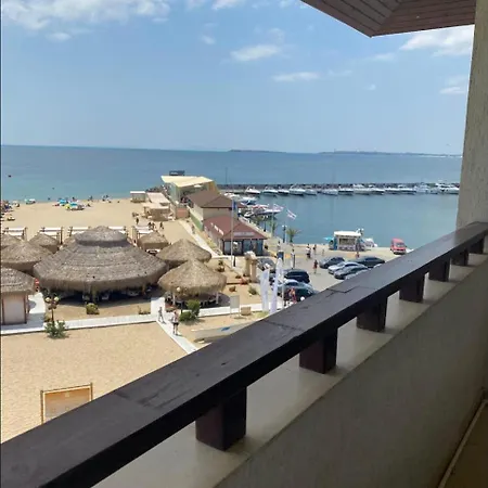 Arena سفيتي فلاس
